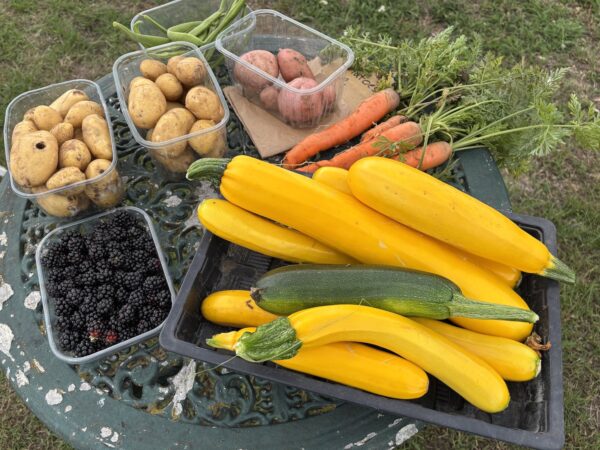 Produce from Cobham Community Garden